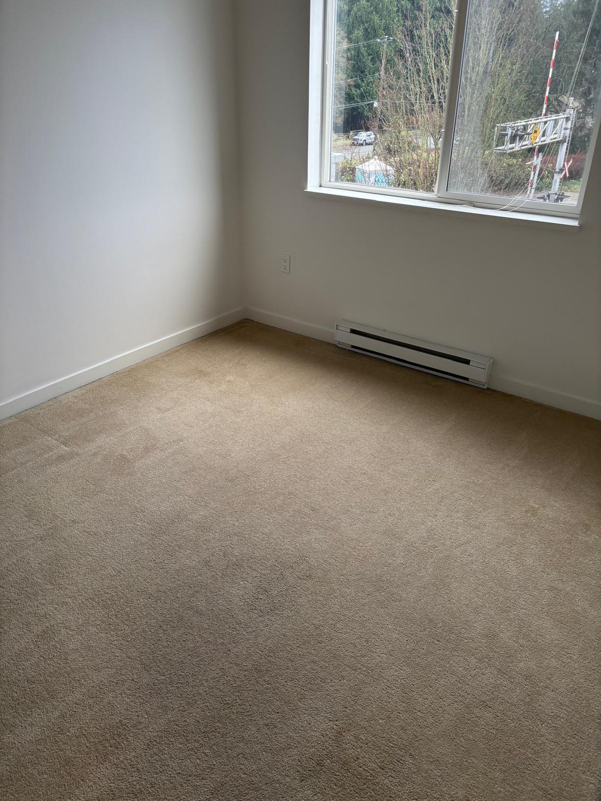 Empty carpeted room with a window